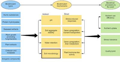 Moving towards a mechanistic understanding of biostimulant impacts on soil properties and processes: a semi-systematic review